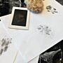 Do It Yourself Paw Print Ink Strip