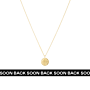 Tiny Bubble Coin Ketting