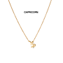 Zara Zodiac Diamond Necklace