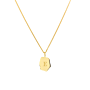 Chunky Curve Coin Ketting