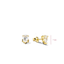 Dazzling Ohrstecker