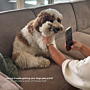 Paw Print Coin Necklace