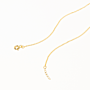 Passionate Necklace