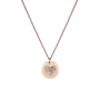Family Fingerprint Coin Ketting