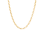 Fierce Colorful Ketting