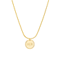 Fierce Initial Coin Ketting