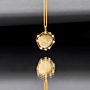 Brilliance Fingerprint Coin Necklace
