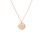 Birth Certificate Coin Ketting