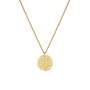 Nose Print Coin Ketting