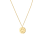 Pfotenabdruck Münze Kette Gold