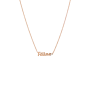 Name Diamond Necklace Deluxe