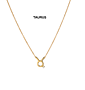 Zara Zodiac Diamond Necklace