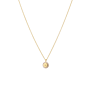 Tiny Pavé Initial Coin Ketting