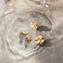 Tiny Seabloom Studs 