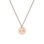 Zodiac Coin Ketting