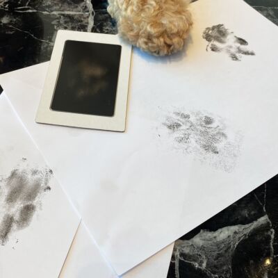 Do It Yourself Paw Print Ink Strip