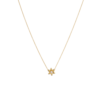 Birthflower Bloom Kette