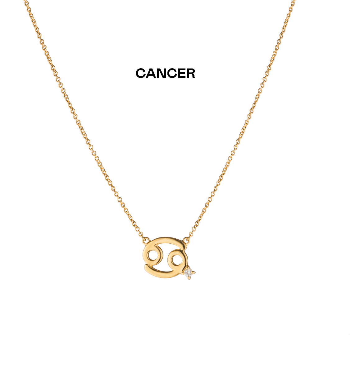 Zara Zodiac Diamond Necklace