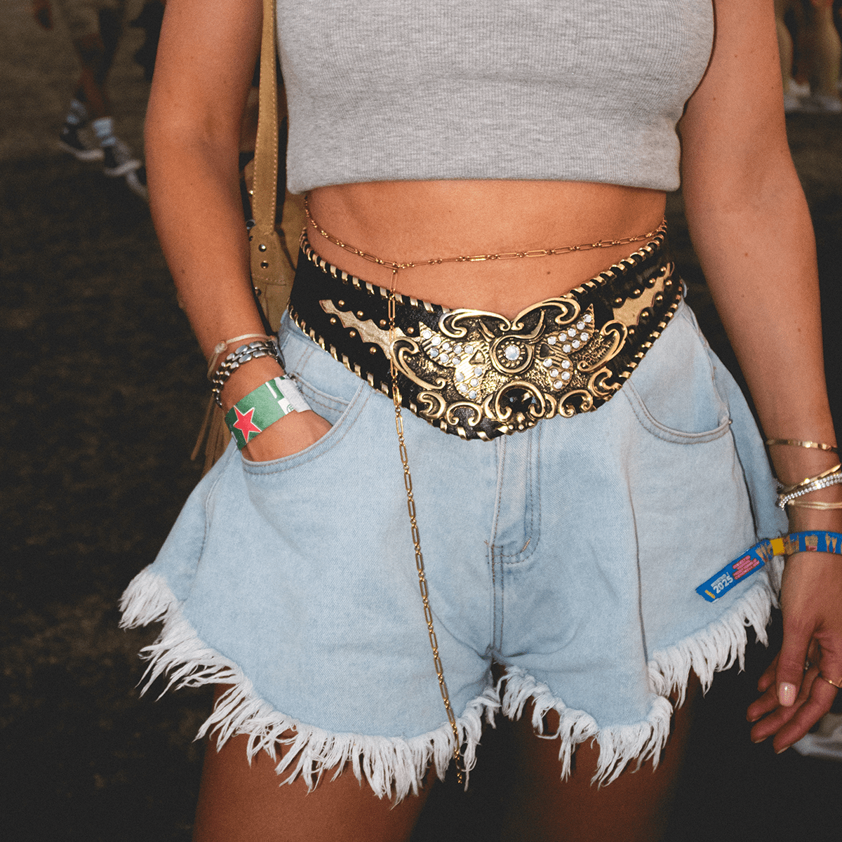 Fierce Chain