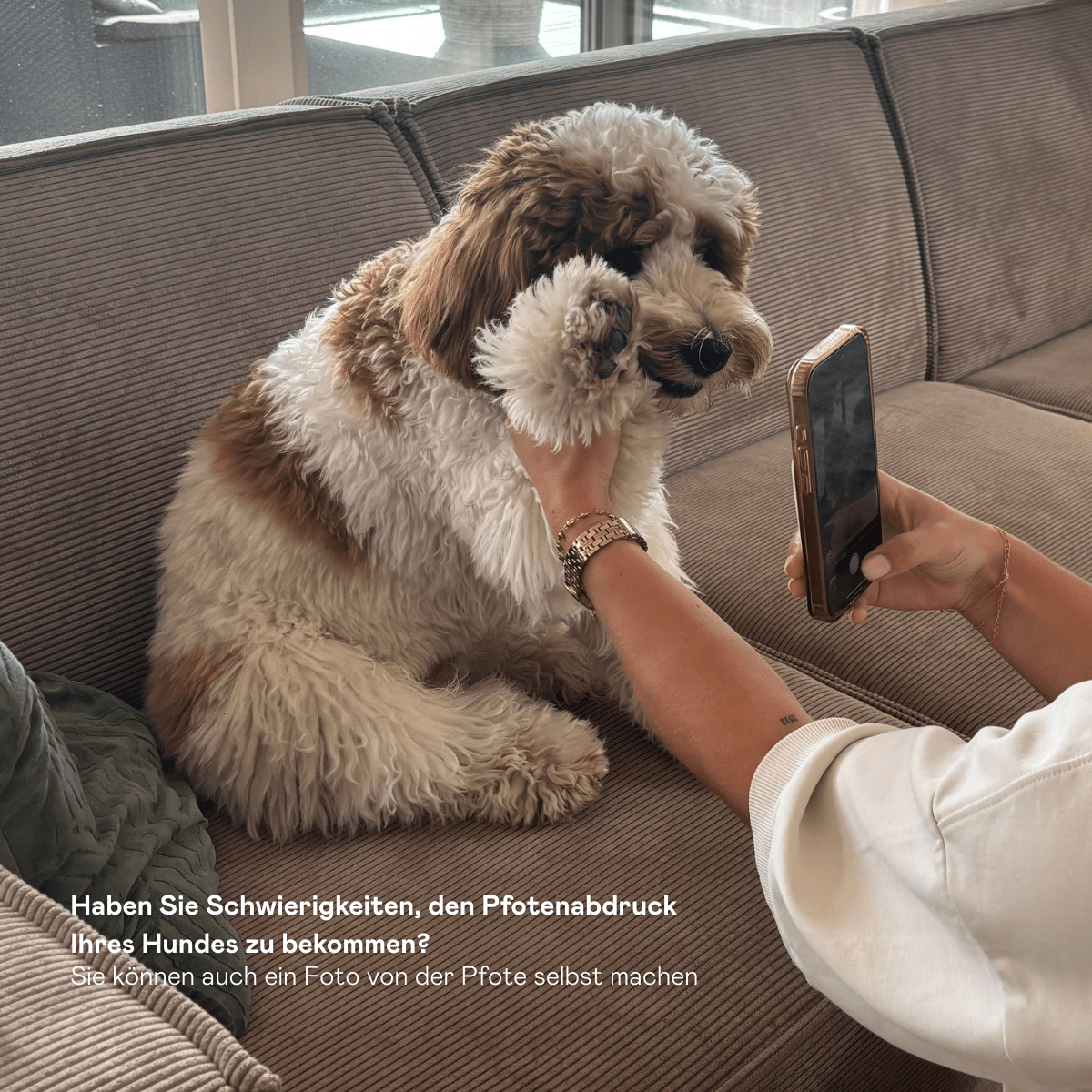 Paw Print Coin Bracelet