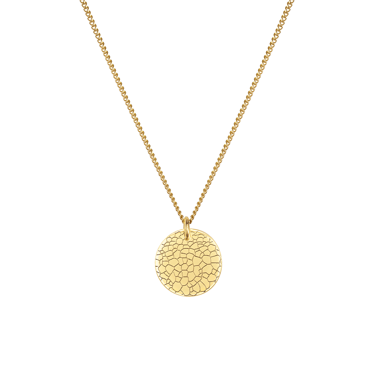 Nose Print Coin Ketting