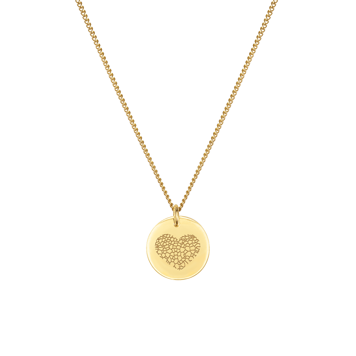 Nose Print Coin Ketting