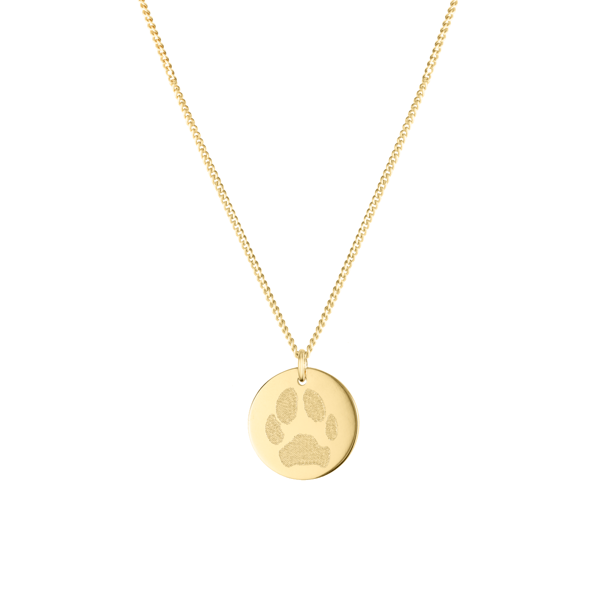 Paw Print Coin Ketting