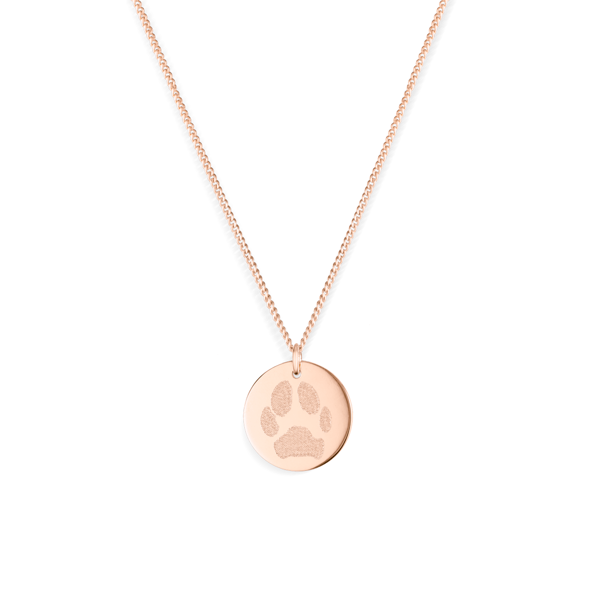 Paw Print Coin Ketting