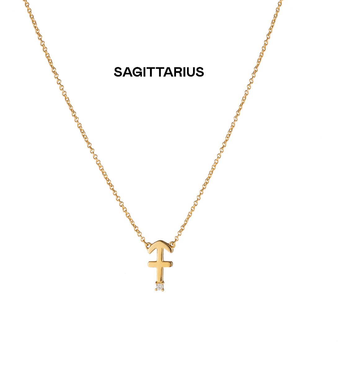 Zara Zodiac Diamond Necklace