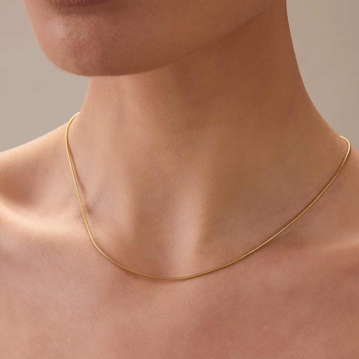 Snake Chain Necklace