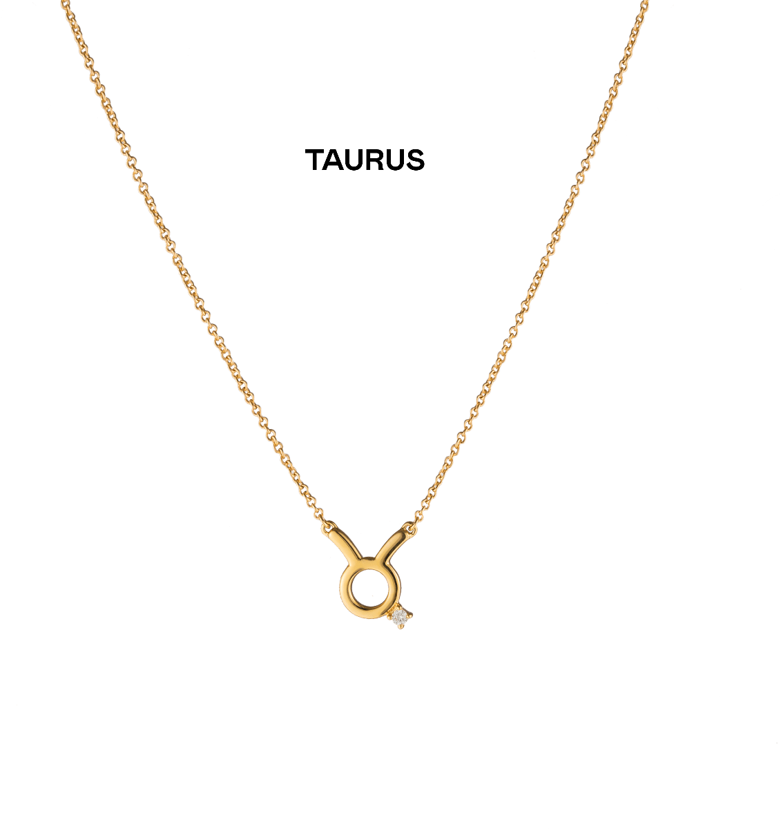 Zara Zodiac Diamond Necklace