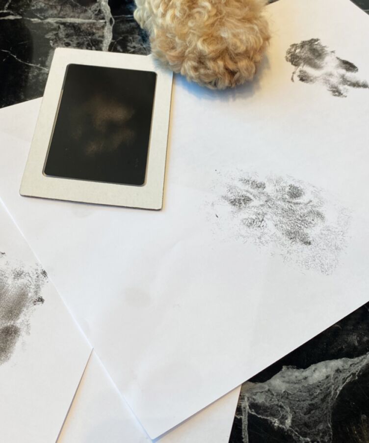 Do It Yourself Paw Print Ink Strip