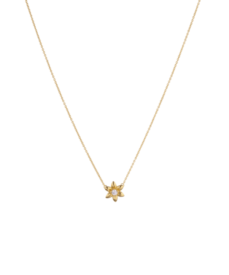 Birthflower Coin Necklace