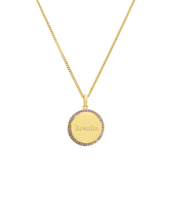 Pavé Birthstone Coin Ketting