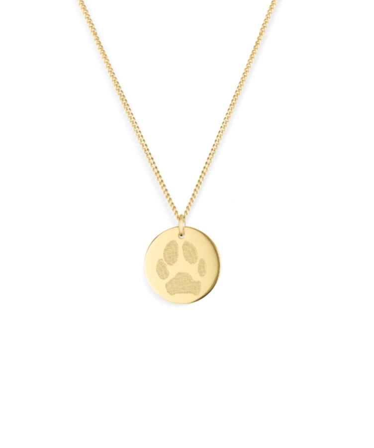 Paw Print Coin Ketting