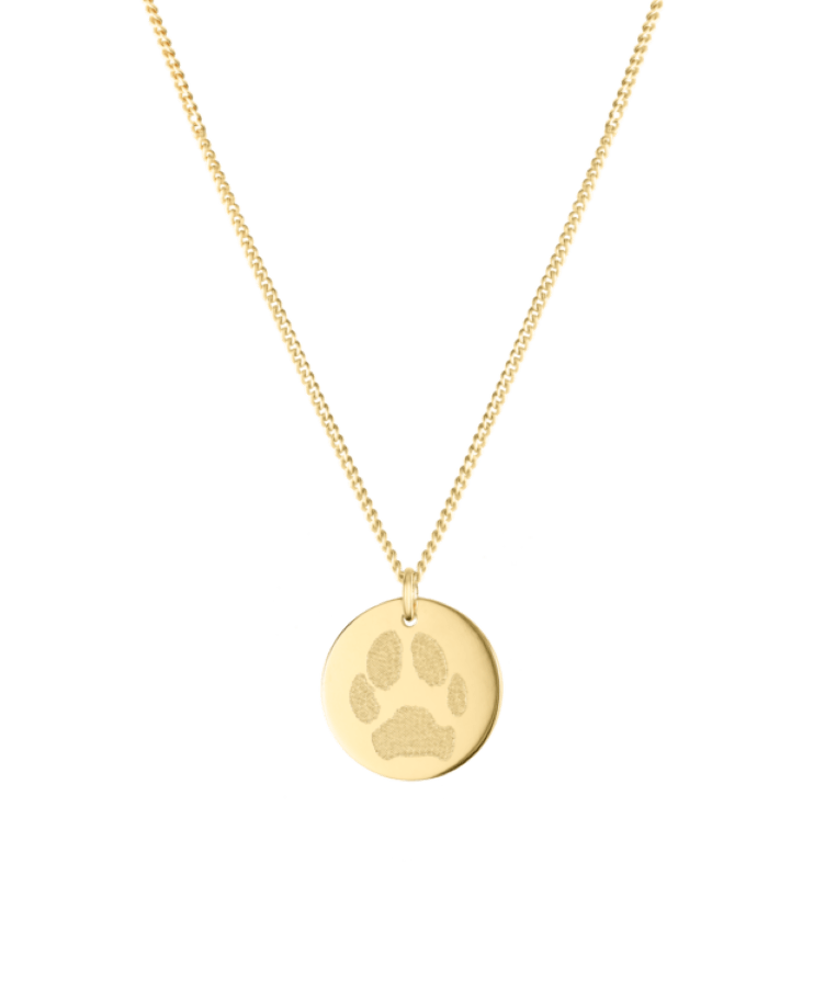 Paw Print Coin Kette