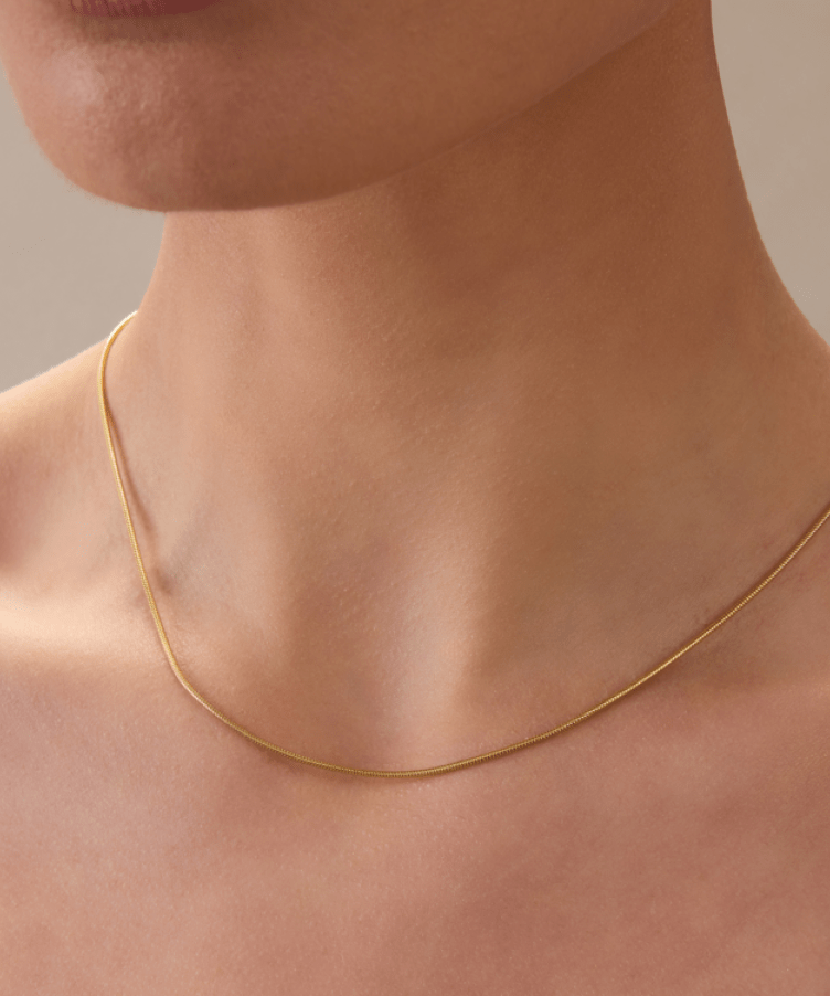 Snake Chain Necklace
