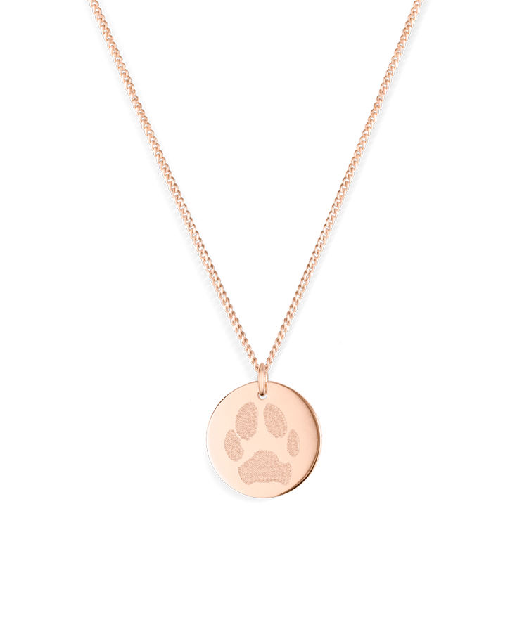 Paw Print Coin Ketting