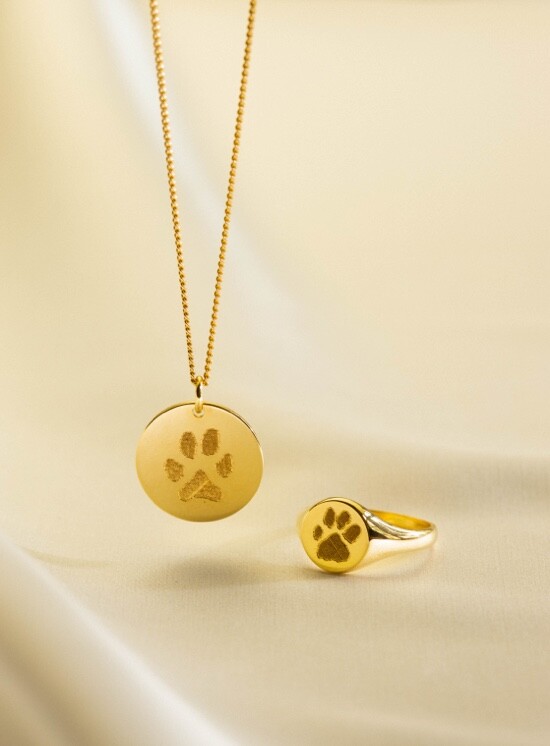 paw print collection